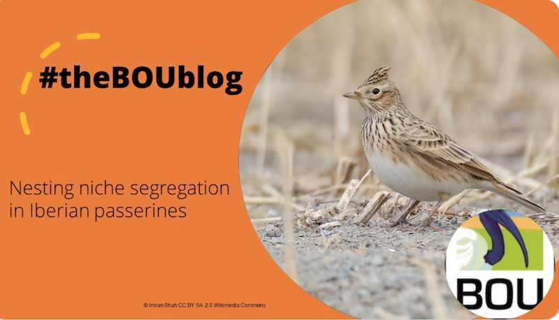 Being similar, nesting different